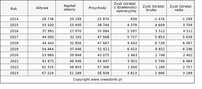 Jednostkowe wyniki roczne LSISOFT (w tys. zł.)